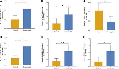 Diagnostic signature, subtype classification, and immune infiltration of key m6A regulators in osteomyelitis patients